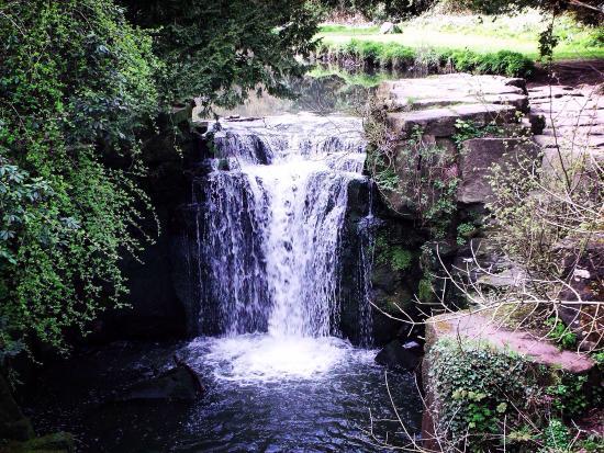 Jesmond Dene Park